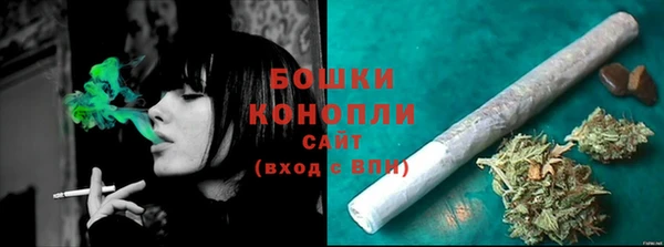 стаф Белокуриха